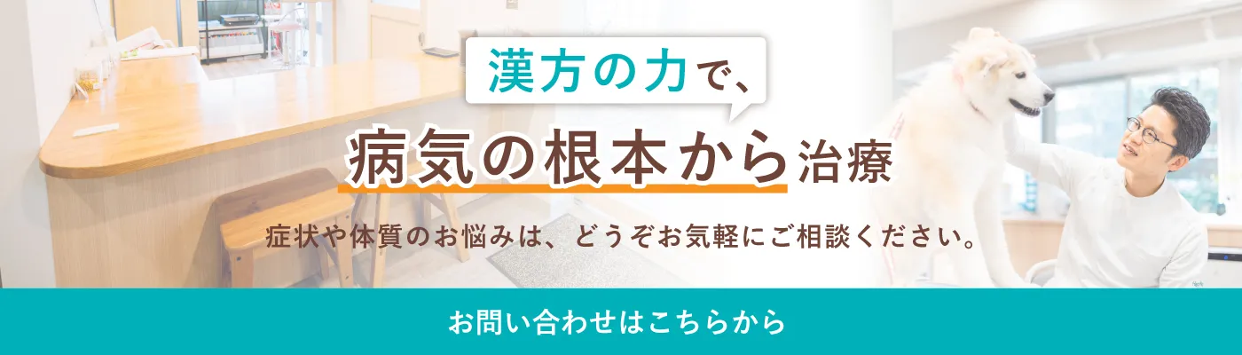 漢方の力で、病気の根本から治療。症状や体質のお悩みは、どうぞお気軽にご相談ください。